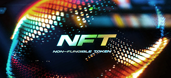 What are Non Fungible Tokens?